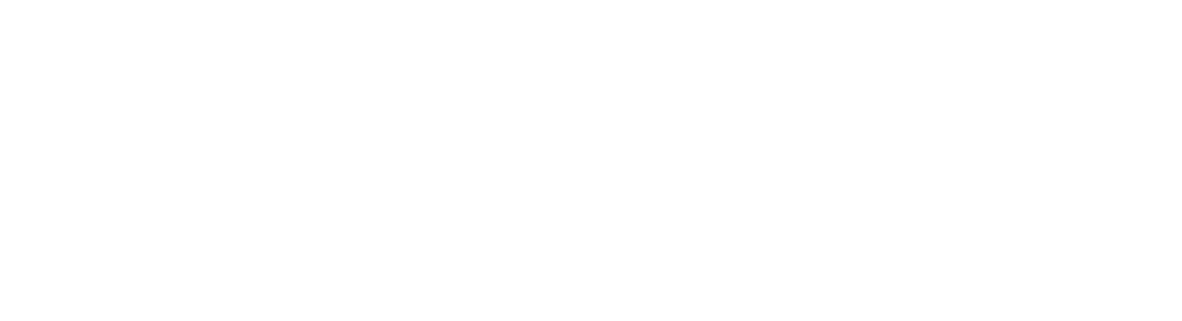 AS AN ENGINEER WHO SUPPORTS THE DIGITAL SOCIETY